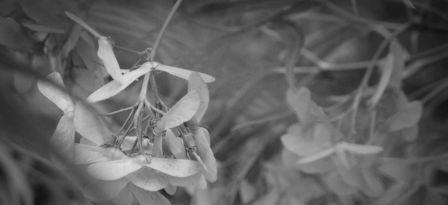 stacks_image_175.jpg